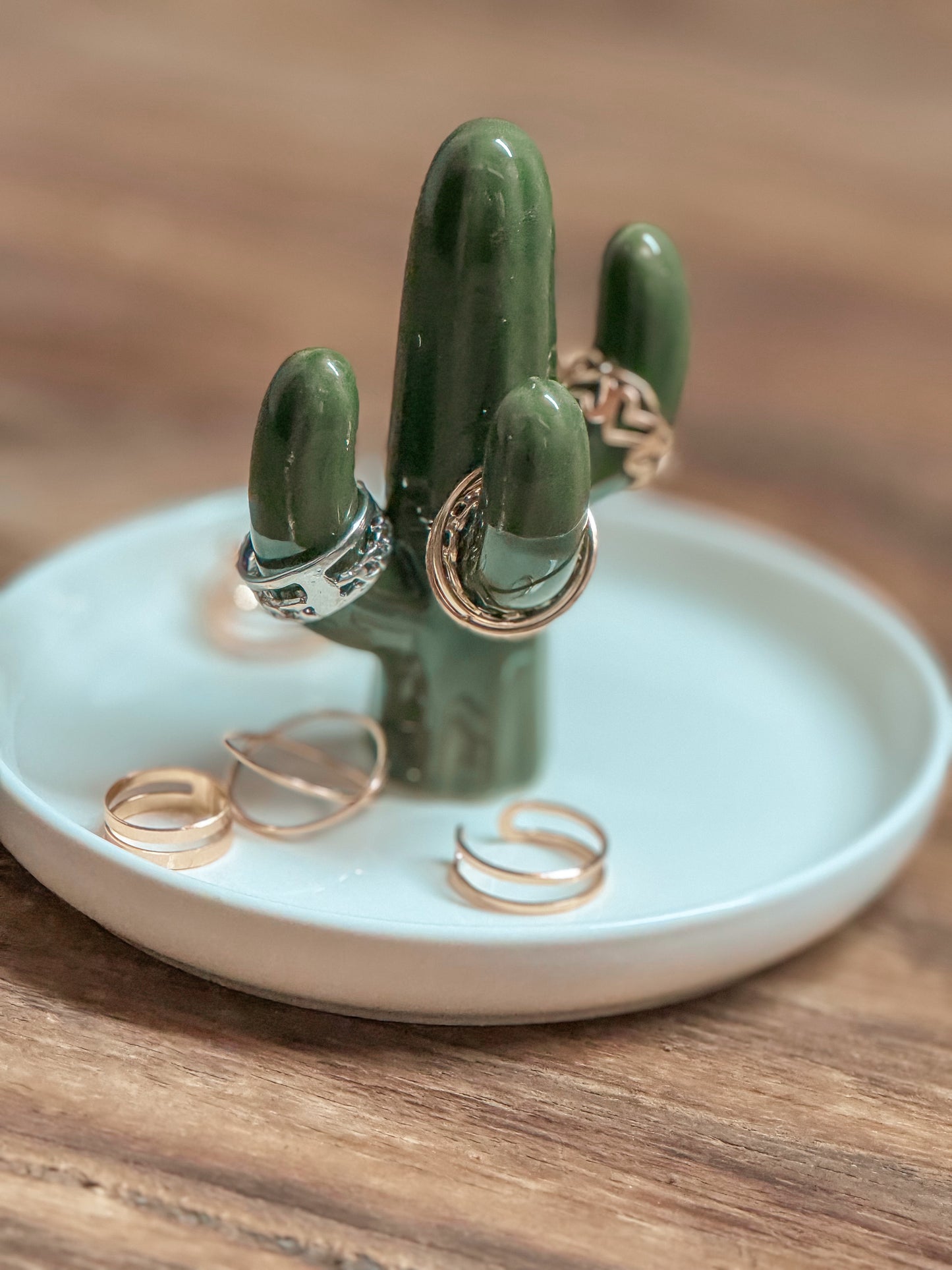 Cactus Ring Holder